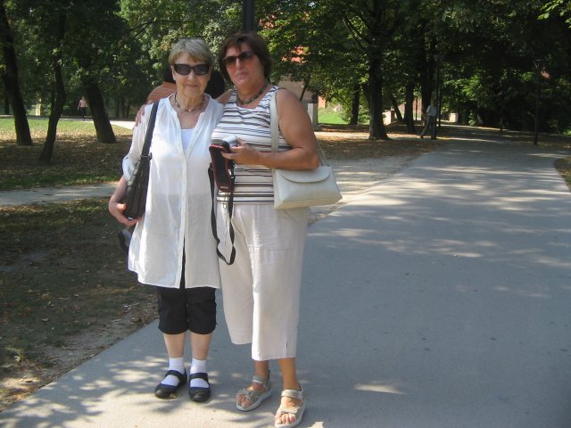 finnek 2011 043